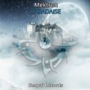 Mektron - Paradaise (Original Mix)