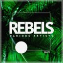 Dmitry Budnik - Abduction (Original Mix)