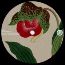 Dam\'cy - My Love Is Gone (Original Mix)