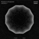 Phaedon, Wudpecker - Ibogaine (Original Mix)