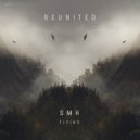 SMH - Flying