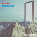 Fei Ahmed - Imagination (Original Mix)
