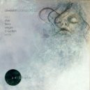 Arweenn - Zin (C - System Remix)