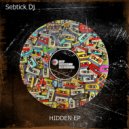 Sebtick Dj - Serenity (Original Mix)