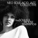 Neo Soul Acid Jazz Collective - Soulgenuity (Original Mix)