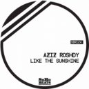 Aziz Roshdy feat. Nermine Wally - Reflect (Original Mix)