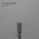 Piotr Figiel - Hysteresis