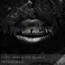 Dizz Delahaye, Studio Cross - Look Into (Original Mix)