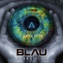 Blau Transition - Genetic Mantra