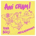 Rina & Benji & Megaphonim & Middle Sky Boom - Ani Cham