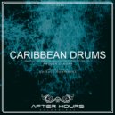 Rhoger Zamora - Caribbean Drums (Gustavo Dominguez Remix)