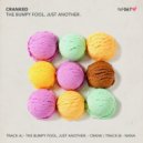 Bumpy Fool, Just Another. - Cranked (Original Mix)