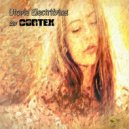 Psychomental - Intrinsic Feel (Original Mix)