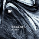 Dub Capsule - Low To High (Original Mix)
