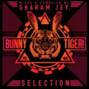 JazzyFunk & DJ Queto - Signs