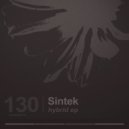 Sintek - Pleasures