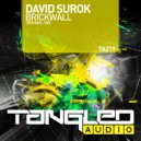 David Surok - Brickwall (Radio Edit)