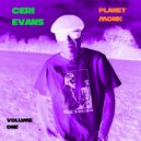 Ceri Evans - I Mean You