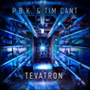 P.B.K. & Tim Cant - Mass Transit (Original Mix)