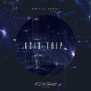 Emilia Verdi - Acid Trip (Original Mix)