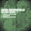 Koen Groeneveld - Somewhere Along The Way