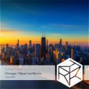 Sunset Vision - Chicago
