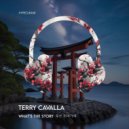 Terry Cavalla - What's The Story 무슨 이야기야