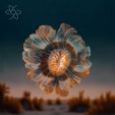 Mario OP - Locked Up