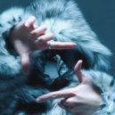 Vicissu - Promiscuous