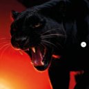 DONT BLINK - NATURAL SELECTION