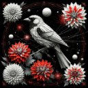 Pablo Alexandro - Frika