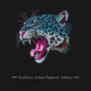 Paul Darey & Umberto Pagliaroli - Ordinary