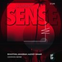 Envotion, Alexey Sonar, ANUQRA - Common Sense