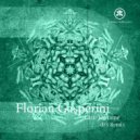 Florian Gasperini - Clair De Lune