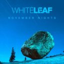 white leaf - November Nights