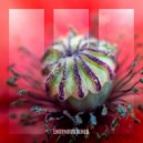 Path Of Youth - Weightless