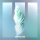 Passenger 10 - Silent Echoes