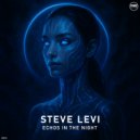 Steve Levi - Echos In The Night