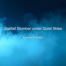 Moonrest Ensemble - Sleep Ambient With Focus