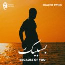 Shayho Twins - Because Of You