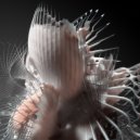 Echonomist - Dominator