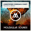 Christopher Corrigan & Fawzy - Peaceful Missile