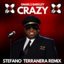 Gnarls Barkley, CeeLo Green - Crazy (Stefano Terranera Afro House Remix)