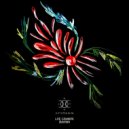 Bayyari - Los Caminos