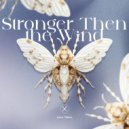 Amir Telem - Stronger Then The Wind