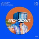 Leo Perez, Dhany G, Andres Perez - Spicy Groove