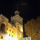 Vivienne - Avenue ()