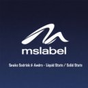 Snake Sedrick & Andro - Solid State ()