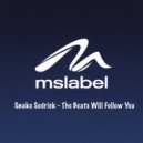Snake Sedrick - The Beats Will Follow You (Continuous DJ Mix)