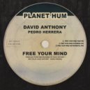 David Anthony & Pedro Herrera - Free Your mind ()